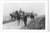 French cavalry on a reconnaissance mission, Somme, France by Anonymous