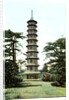 The Pagoda, Kew Gardens, Richmond upon Thames, London by Anonymous