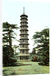 The Pagoda, Kew Gardens, Richmond upon Thames, London by Anonymous