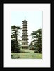 The Pagoda, Kew Gardens, Richmond upon Thames, London by Anonymous