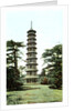 The Pagoda, Kew Gardens, Richmond upon Thames, London by Anonymous
