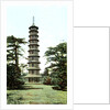 The Pagoda, Kew Gardens, Richmond upon Thames, London by Anonymous