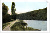 Towing path alongside the Thames, Maidenhead, Berkshire by Anonymous