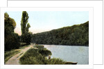 Towing path alongside the Thames, Maidenhead, Berkshire by Anonymous