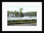 Virginia Water, Surrey by Anonymous