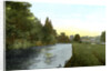 The Thames at Cookham, Berkshire by Anonymous