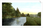 The Thames at Cookham, Berkshire by Anonymous