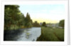 The Thames at Cookham, Berkshire by Anonymous