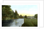 The Thames at Cookham, Berkshire by Anonymous