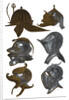 Helmets from the Armeria Real, Madrid by Franz Kellerhoven