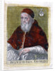 Pope Julius II by Anonymous