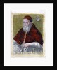 Pope Julius II by Anonymous