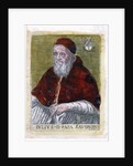 Pope Julius II by Anonymous