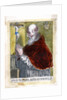 Pope St Pius V by Anonymous