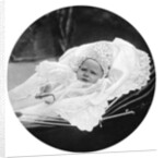 Prince Albert Windsor at age one by Anonymous