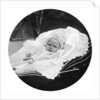 Prince Albert Windsor at age one by Anonymous