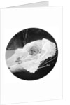 Prince Albert Windsor at age one by Anonymous