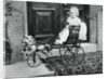 Prince Albert Windsor at age one by Anonymous