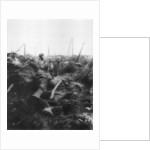 The landscape of Les Eparges, near Verdun, France by Anonymous