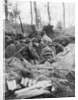 French troops in the trench system of Calonne, France, July 1915 by Anonymous