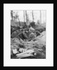 French troops in the trench system of Calonne, France, July 1915 by Anonymous