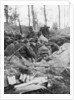 French troops in the trench system of Calonne, France, July 1915 by Anonymous