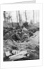 French troops in the trench system of Calonne, France, July 1915 by Anonymous