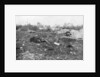 German dead, Second Battle of Champagne by Anonymous