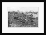 German dead, Second Battle of Champagne by Anonymous