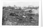 German dead, Second Battle of Champagne by Anonymous