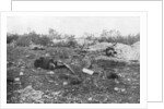 German dead, Second Battle of Champagne by Anonymous