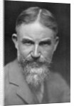 George Bernard Shaw, Anglo-Irish playwright by Lizzie Caswall Smith