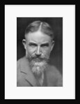 George Bernard Shaw, Anglo-Irish playwright by Lizzie Caswall Smith