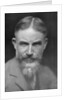 George Bernard Shaw, Anglo-Irish playwright by Lizzie Caswall Smith