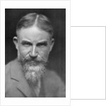 George Bernard Shaw, Anglo-Irish playwright by Lizzie Caswall Smith