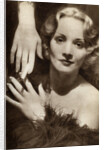 Marlene Dietrich, German-American actress by Anonymous