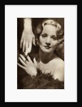 Marlene Dietrich, German-American actress by Anonymous