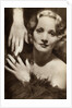 Marlene Dietrich, German-American actress by Anonymous