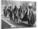 King George V in his robes as sovereign of the Order of Bath by Anonymous