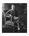 The future King Edward VIII at the age of sixteen by Anonymous