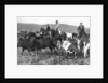 The Prince of Wales rounding up cattle in Alberta, Canada by Anonymous