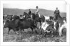 The Prince of Wales rounding up cattle in Alberta, Canada by Anonymous