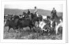The Prince of Wales rounding up cattle in Alberta, Canada by Anonymous