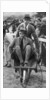 Louis Mountbatten wheels his cousin, the Prince of Wales, at a gymkhana in Malta by Anonymous