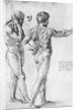 Two male nude studies by Raphael