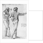 Two male nude studies by Raphael