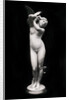 The Message of Love by Eugene Delaplanche