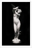 The Message of Love by Eugene Delaplanche