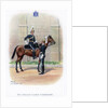 6th Dragoon Guards (Carabiniers) by LE Buckell