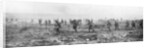 Canadian troops in no man's land, Vimy, France, First World War by Anonymous